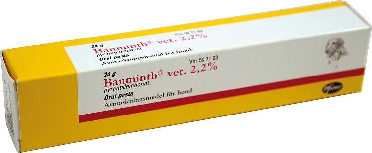 Banminth vet. oral pasta i tub för hund Apotek Hjärtat